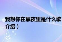我想你在黑夜里是什么歌（關(guān)于我想你在黑夜里是什么歌的介紹）
