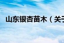 山東銀杏苗木（關(guān)于山東銀杏苗木的介紹）