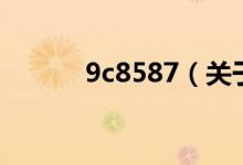 9c8587（關(guān)于9c8587的介紹）