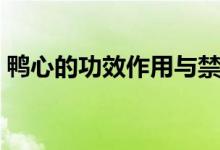 鴨心的功效作用與禁忌（鴨心的功效與作用）