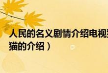 人民的名義劇情介紹電視貓（關(guān)于人民的名義劇情介紹電視貓的介紹）
