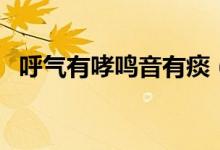 呼氣有哮鳴音有痰（呼氣有哮鳴音怎么辦）