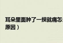 耳朵里面腫了一摸就痛怎么辦（耳朵里面腫了一摸就痛什么原因）