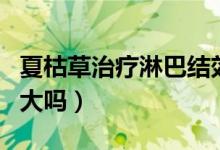 夏枯草治療淋巴結(jié)效果（夏枯草治療淋巴結(jié)腫大嗎）