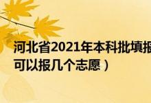 河北省2021年本科批填報(bào)志愿時(shí)間（2022河北本科提前批可以報(bào)幾個(gè)志愿）