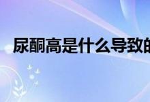 尿酮高是什么導(dǎo)致的（尿酮高是怎么回事）