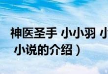神醫(yī)圣手 小小羽 小說（關于神醫(yī)圣手 小小羽 小說的介紹）