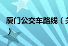 廈門公交車路線（關(guān)于廈門公交車路線的介紹）