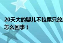 20天大的嬰兒不拉屎只放屁怎么辦（20天嬰兒不拉屎只放屁怎么回事）