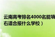 云南高考排名4000名能填報的學校（云南高考位次40000左右適合報什么學校）