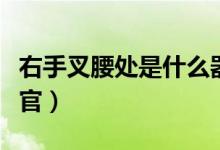 右手叉腰處是什么器官（左手叉腰處是什么器官）