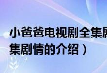 小爸爸電視劇全集劇情（關(guān)于小爸爸電視劇全集劇情的介紹）
