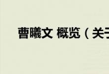 曹曦文 概覽（關(guān)于曹曦文 概覽的介紹）