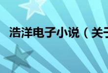 浩洋電子小說（關于浩洋電子小說的介紹）