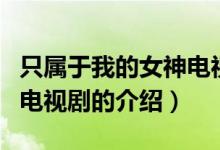 只屬于我的女神電視?。P(guān)于只屬于我的女神電視劇的介紹）