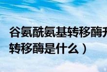 谷氨酰氨基轉(zhuǎn)移酶升高預(yù)示什么（谷氨酰氨基轉(zhuǎn)移酶是什么）