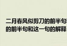二月春風(fēng)似剪刀的前半句和這一句的意思（二月春風(fēng)似剪刀的前半句和這一句的解釋）