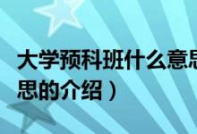 大學(xué)預(yù)科班什么意思（關(guān)于大學(xué)預(yù)科班什么意思的介紹）