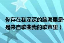 你存在我深深的腦海里是什么歌（你存在我深深的腦海里是是來自歌曲我的歌聲里）