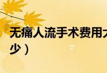 無(wú)痛人流手術(shù)費(fèi)用大概（無(wú)痛人流手術(shù)費(fèi)是多少）