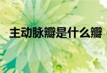 主動(dòng)脈瓣是什么瓣（主動(dòng)脈瓣是什么意思）