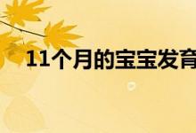 11個(gè)月的寶寶發(fā)育標(biāo)準(zhǔn)（需要注意什么）