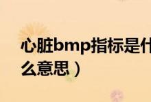 心臟bmp指標(biāo)是什么?（心臟指標(biāo)bmp是什么意思）