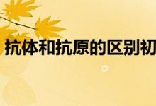 抗體和抗原的區(qū)別初中（抗體和抗原的區(qū)別）