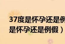 37度是懷孕還是例假還有4天來(lái)月經(jīng)（37度是懷孕還是例假）