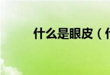 什么是眼皮（什么是眼皮吸脂術）
