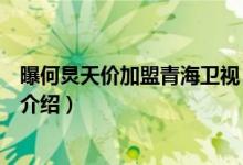 曝何炅天價加盟青海衛(wèi)視（關(guān)于曝何炅天價加盟青海衛(wèi)視的介紹）