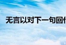 無(wú)言以對(duì)下一句回什么（無(wú)言以對(duì)的意思）