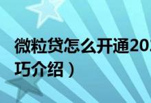 微粒貸怎么開通2020（2020年微粒貸開通技巧介紹）