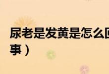 尿老是發(fā)黃是怎么回事（尿老是黃的是怎么回事）