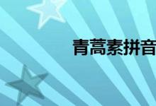 青蒿素拼音（青蒿素價格）