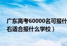 廣東高考60000名可報什么學校（廣東高考位次130000左右適合報什么學校）