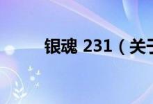 銀魂 231（關(guān)于銀魂 231的介紹）