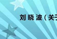 劉 曉 波（關(guān)于劉 曉 波的介紹）