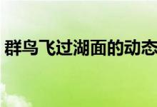 群鳥飛過湖面的動態(tài)描寫（這五句寫得很好）