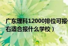 廣東理科12000排位可報(bào)什么學(xué)校（廣東高考位次70000左右適合報(bào)什么學(xué)校）