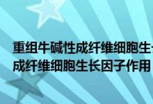 重組牛堿性成纖維細(xì)胞生長(zhǎng)因子滴眼液說(shuō)明書(shū)（重組牛堿性成纖維細(xì)胞生長(zhǎng)因子作用）