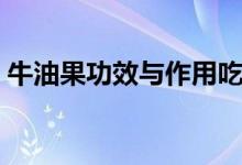 牛油果功效與作用吃法（牛油果功效與作用）