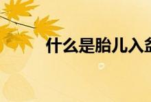 什么是胎兒入盆（什么是胎盤(pán)低）