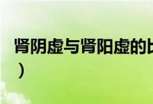 腎陰虛與腎陽虛的比例（腎陰虛與腎陽虛區(qū)別）