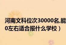 河南文科位次30000名,能報什么學(xué)校（河南高考位次230000左右適合報什么學(xué)校）