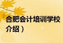 合肥會(huì)計(jì)培訓(xùn)學(xué)校（關(guān)于合肥會(huì)計(jì)培訓(xùn)學(xué)校的介紹）