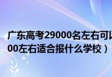 廣東高考29000名左右可以報什么學校（廣東高考位次160000左右適合報什么學校）