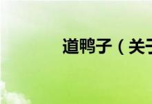 道鴨子（關(guān)于道鴨子的介紹）