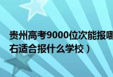 貴州高考9000位次能報哪些學校（貴州高考位次100000左右適合報什么學校）