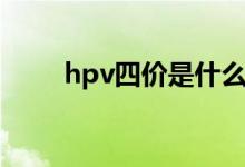 hpv四價(jià)是什么（hpv四價(jià)是什么）